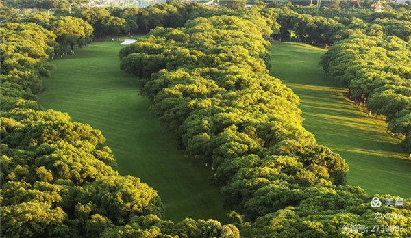 1632972751228775.jpg 20210930_112708_006.jpg