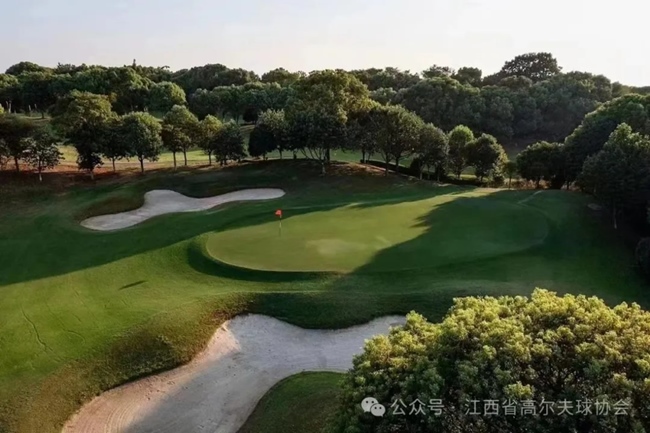 1719999467401694.jpg 640_wx_fmt=jpeg&from=appmsg&tp=webp&wxfrom=5&wx_lazy=1&wx_co=1 (6).jpg